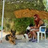 Desarollo olfattivo 2016